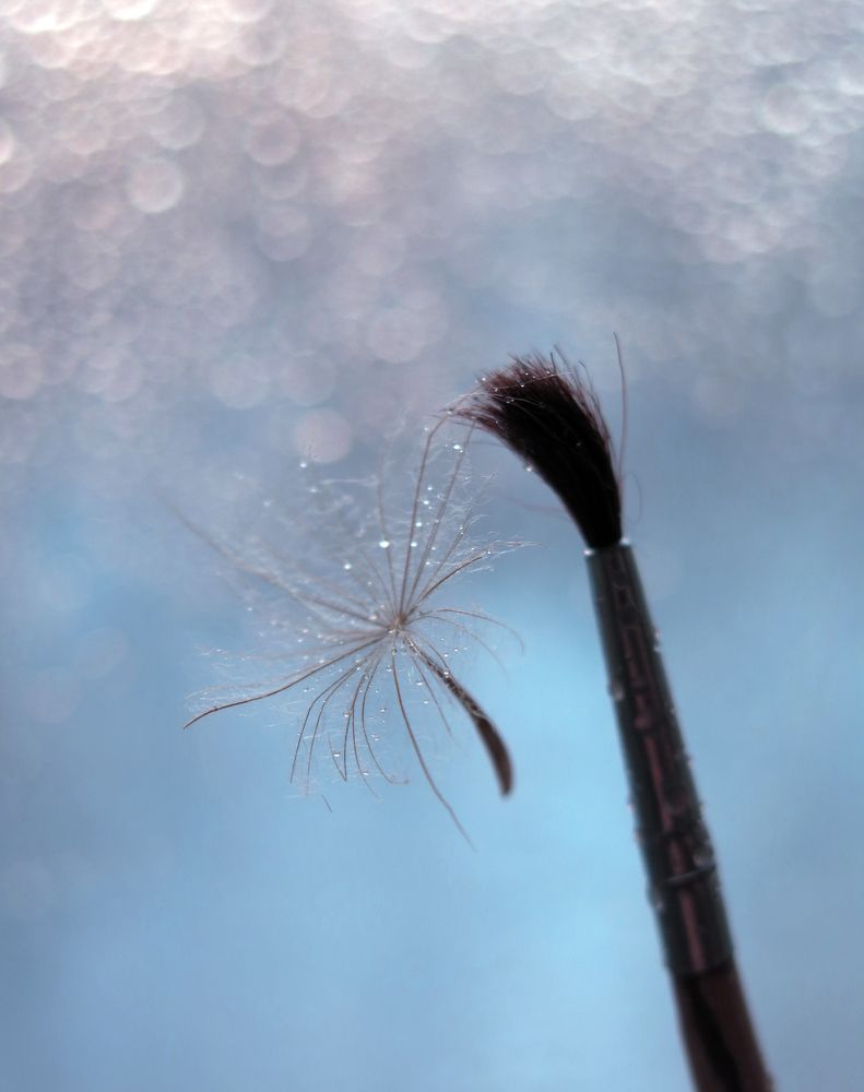 Photo 1062603