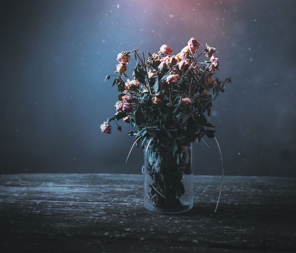 Conceptual