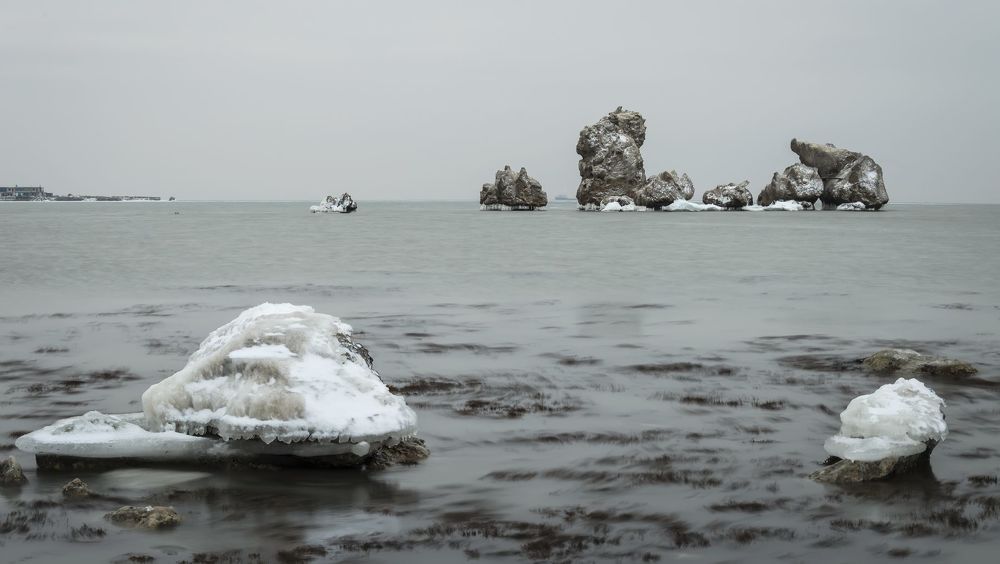 Зимовка камней-черноморов.
