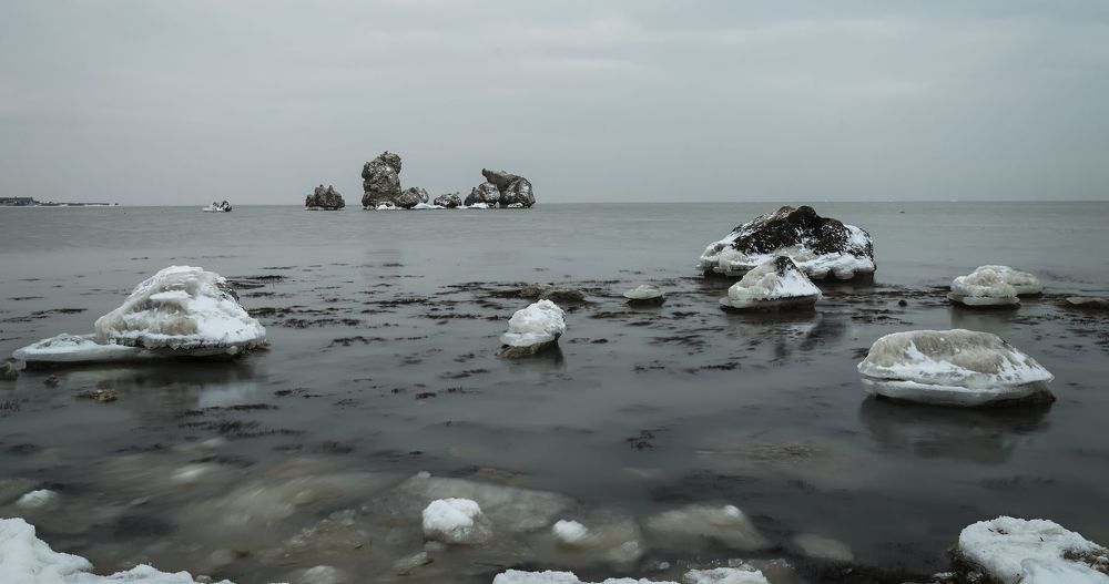 Зимовка камней-черноморов.