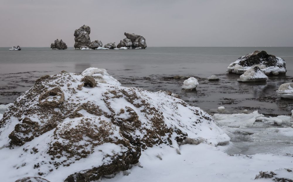 Зимовка камней-черноморов.