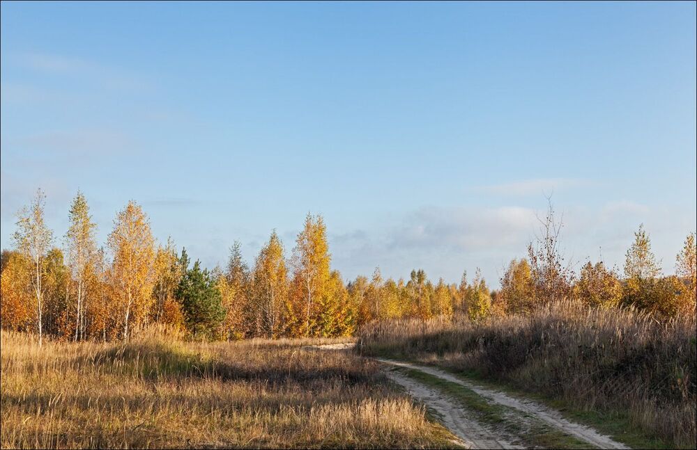 Первые вестники смены погоды
