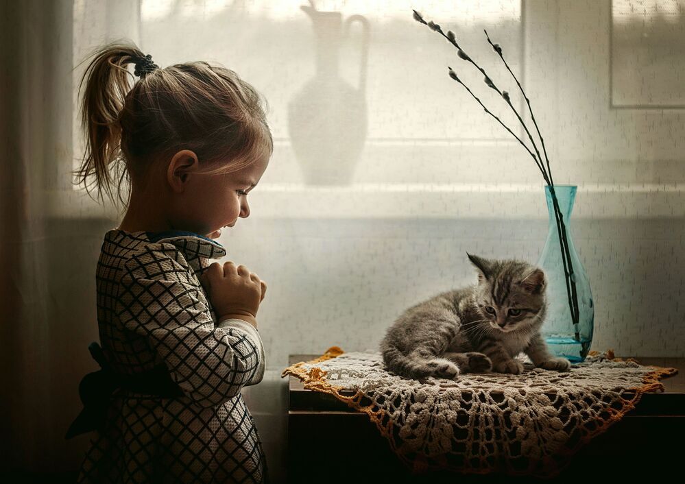 Повелитель котов