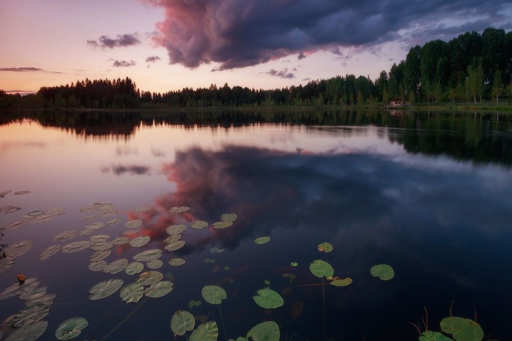 День лета