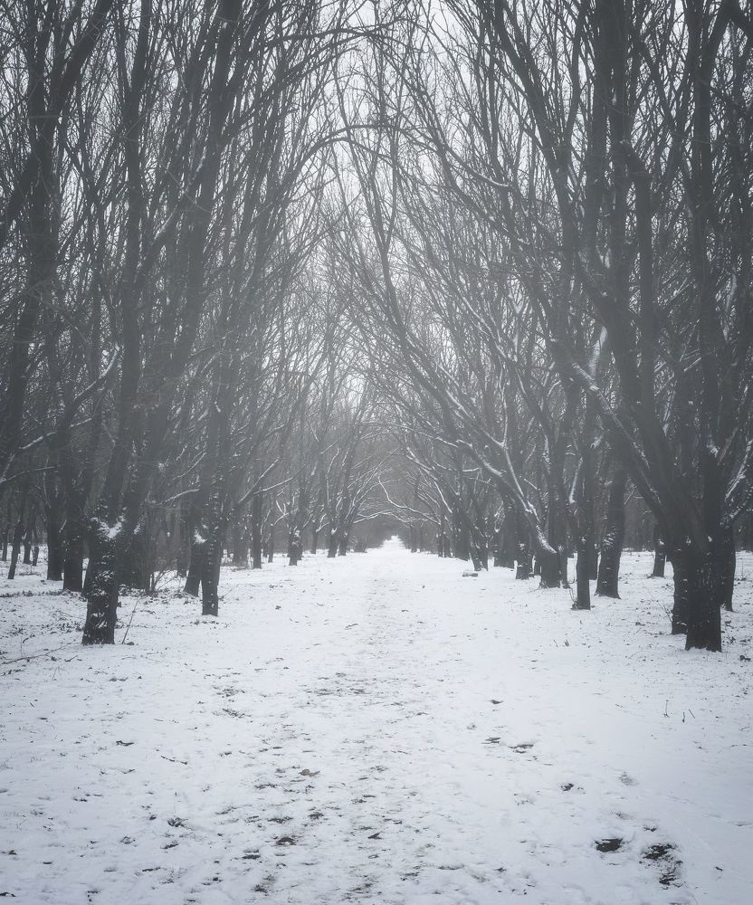 Февральский парк.