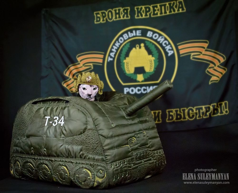 Защитник Котечества))