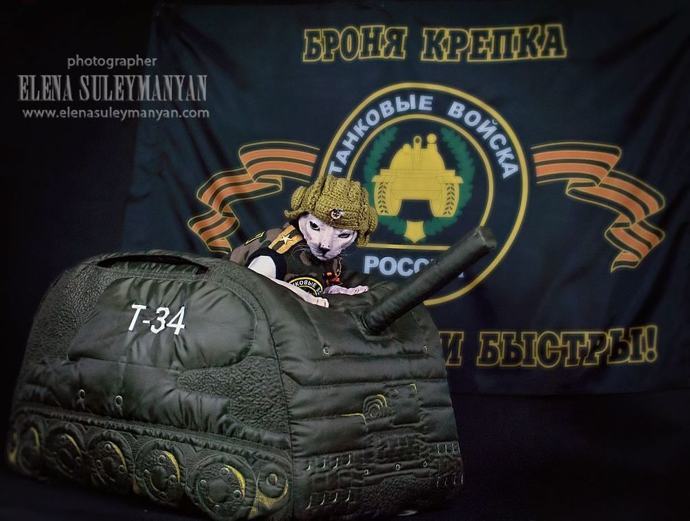 Защитник Котечества))