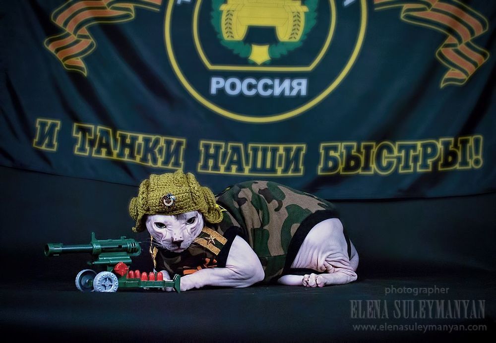Защитник Котечества))