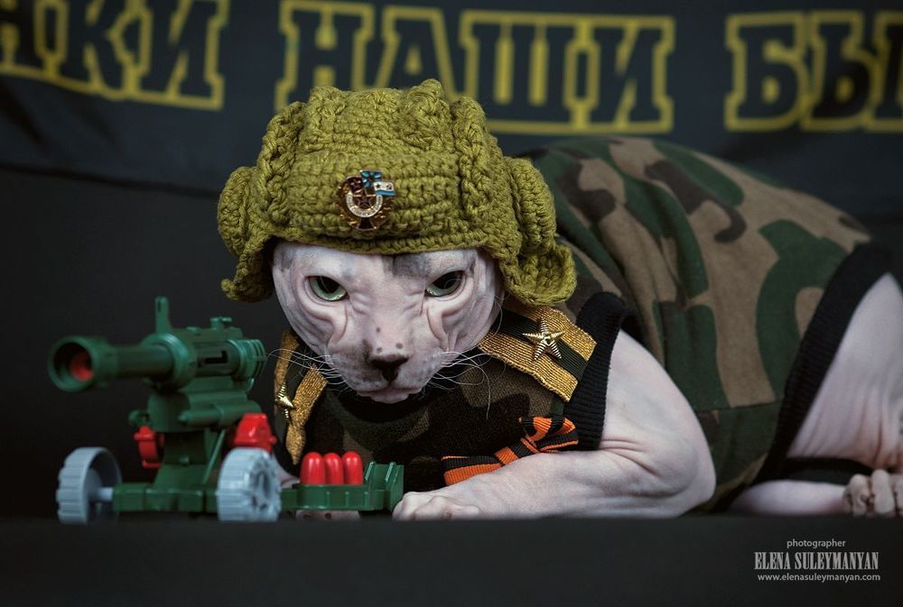 Защитник Котечества))