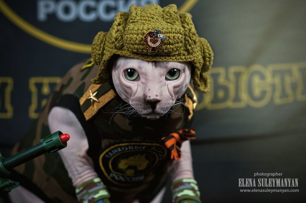 Защитник Котечества))