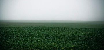 Photo 1068115