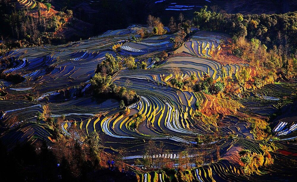 Scenery