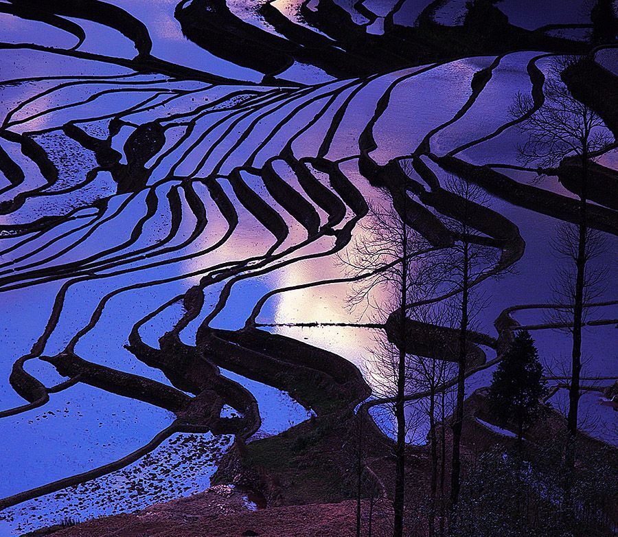Scenery