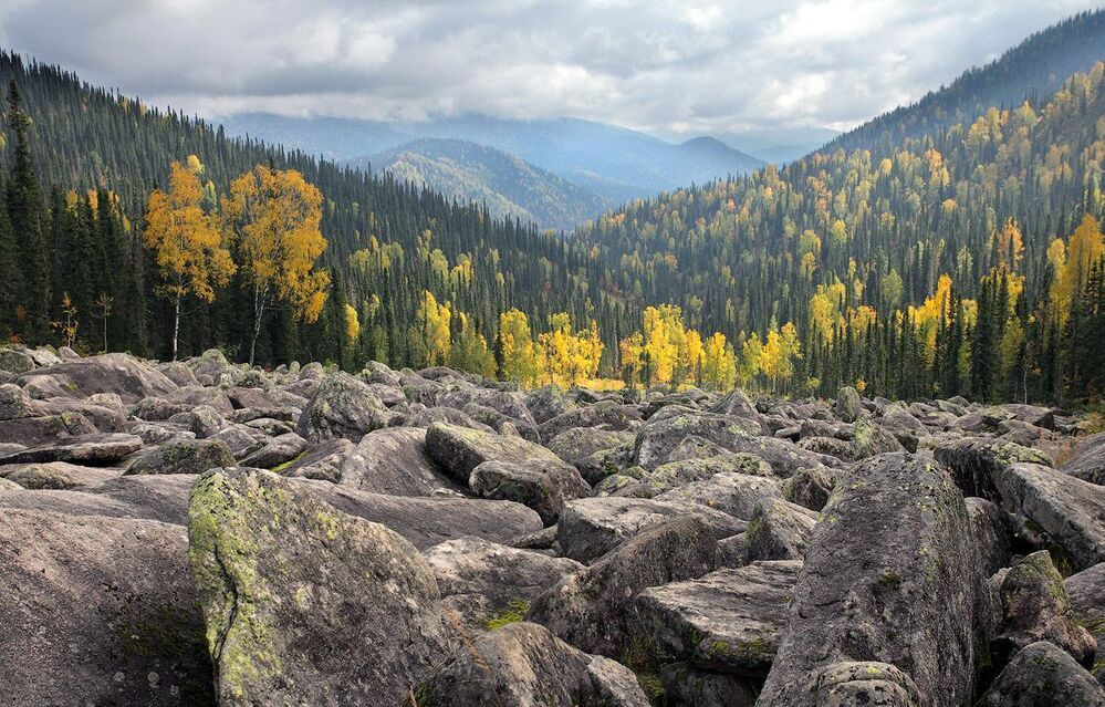 сентябрьский курумник