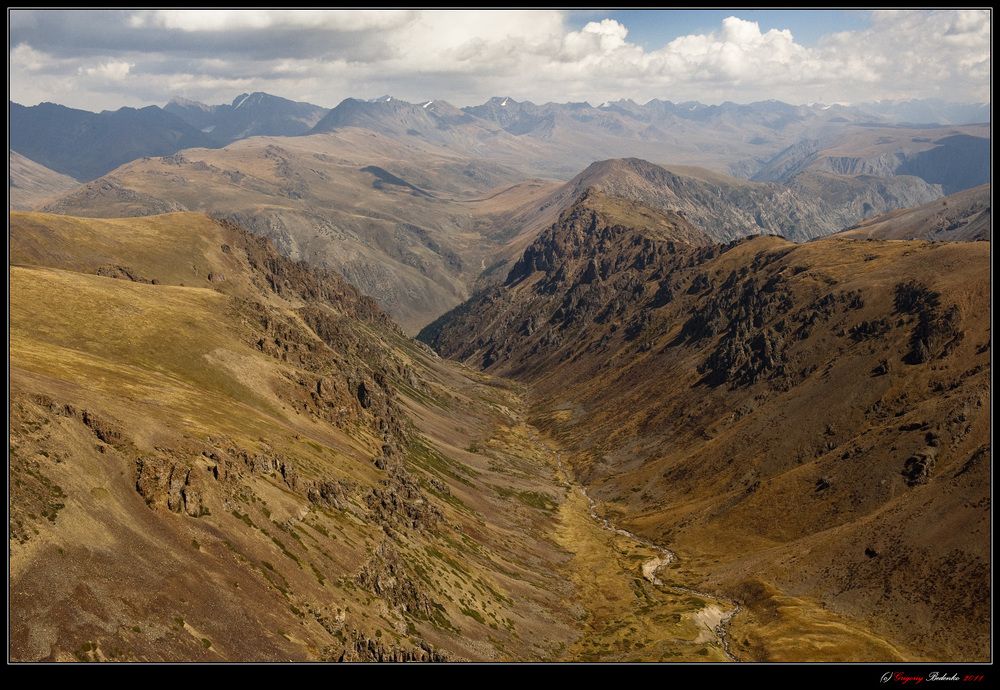Золотая Джунгария.