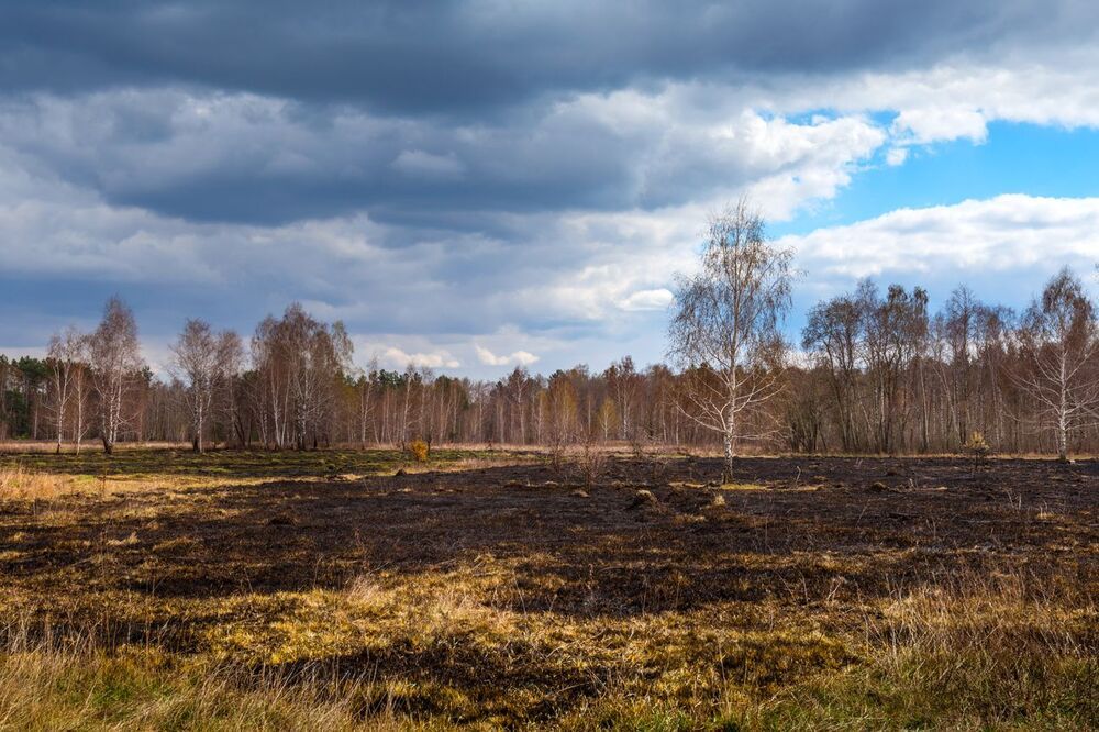 Весна ступает семимильными шагами