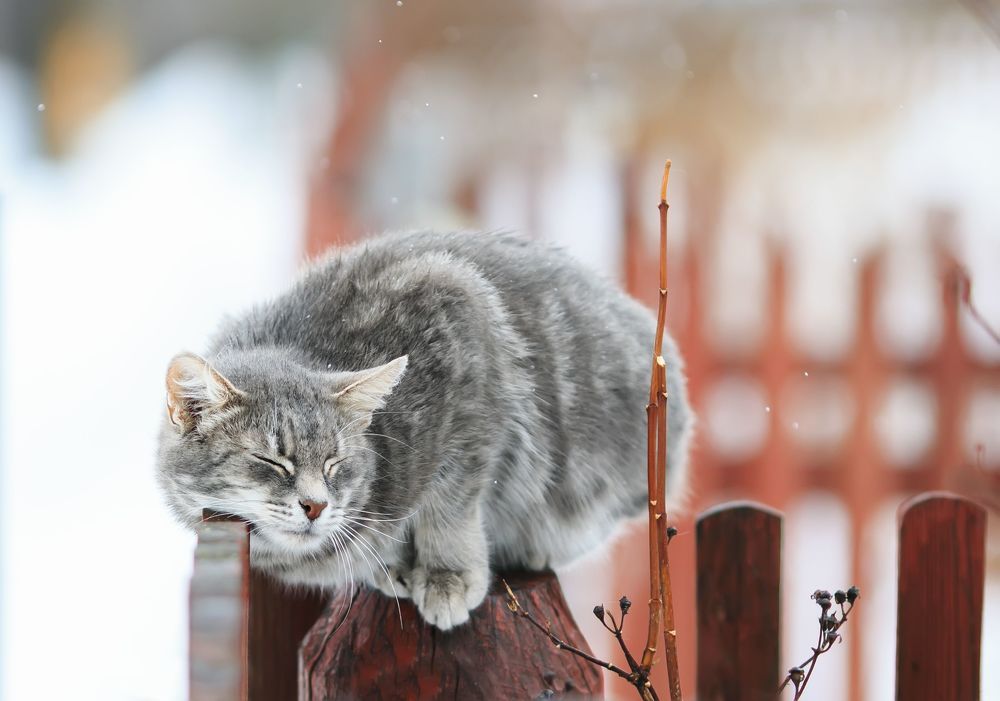 в воздухе запахло весной...