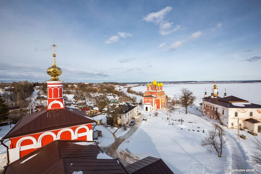 Белев златоглавый
