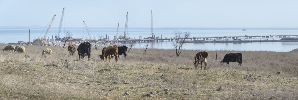 ПРО МОСТ.