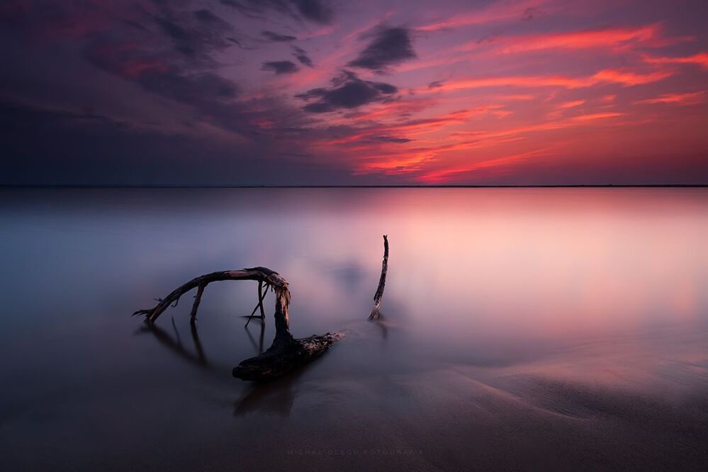 Colors of evening
