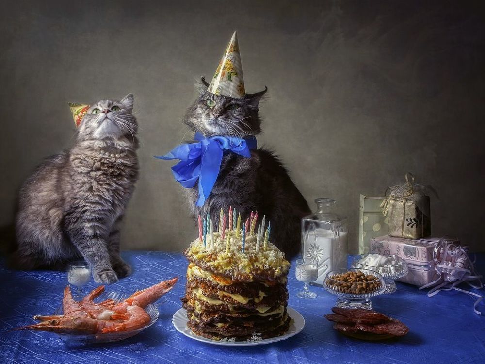 20 лет - это не кот начхал! Тут призадумаешься!