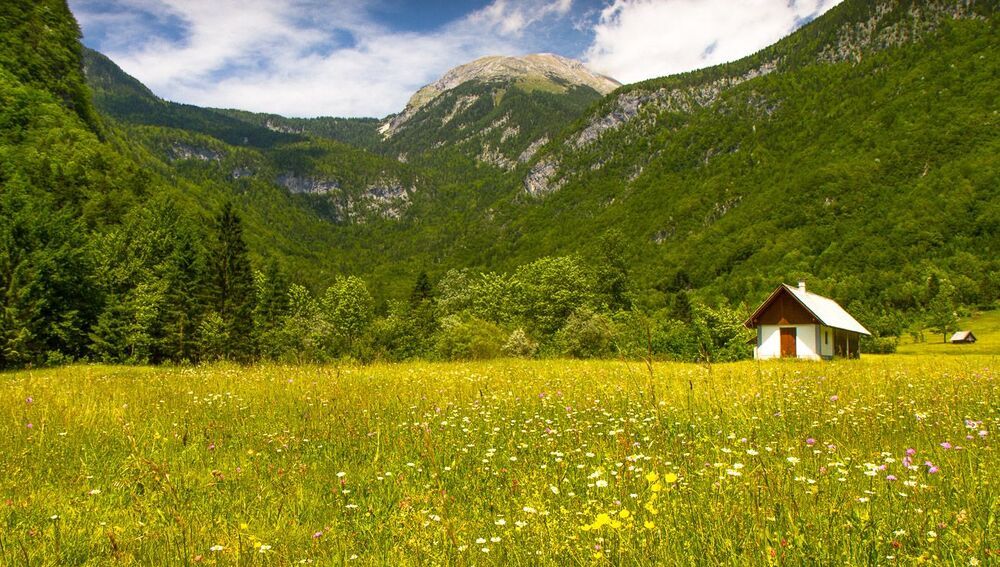 Julian Alps