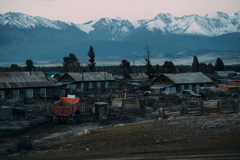 Курай