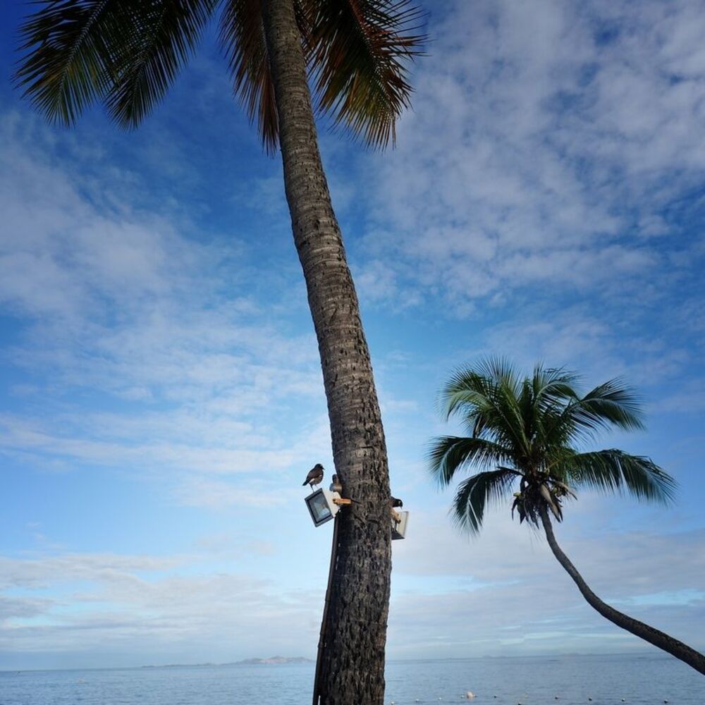 Photo 1073007