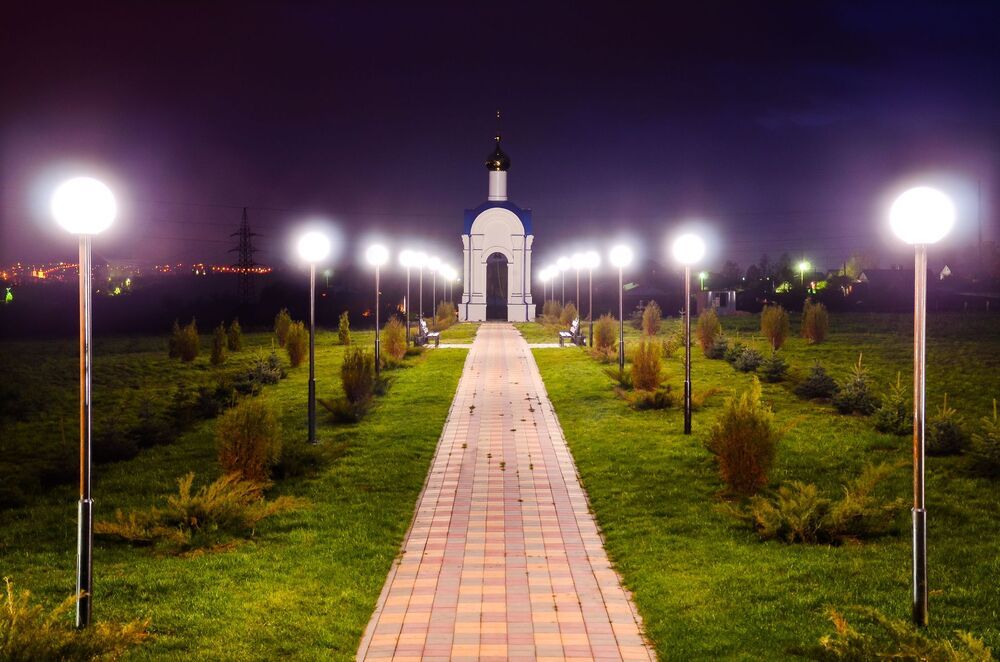 Елец ночной