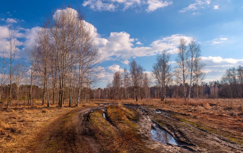 И плыли они, буд-то зная, что зимний сон побеждён