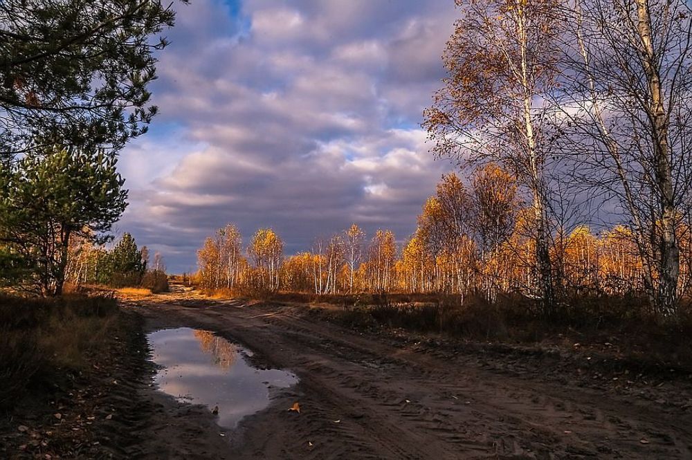 Пьяною походкою разгуливает осень
