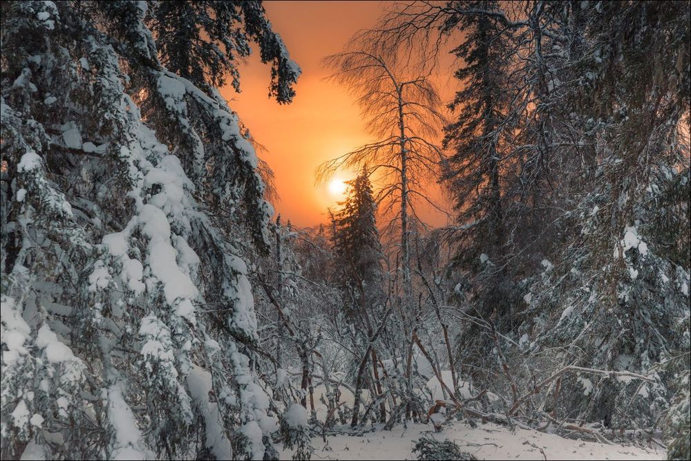 В погоне за Солнцем