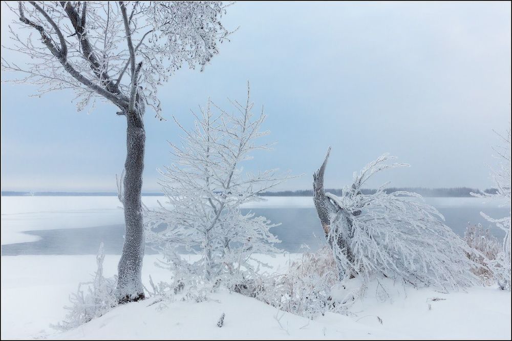 Напоследок о зиме