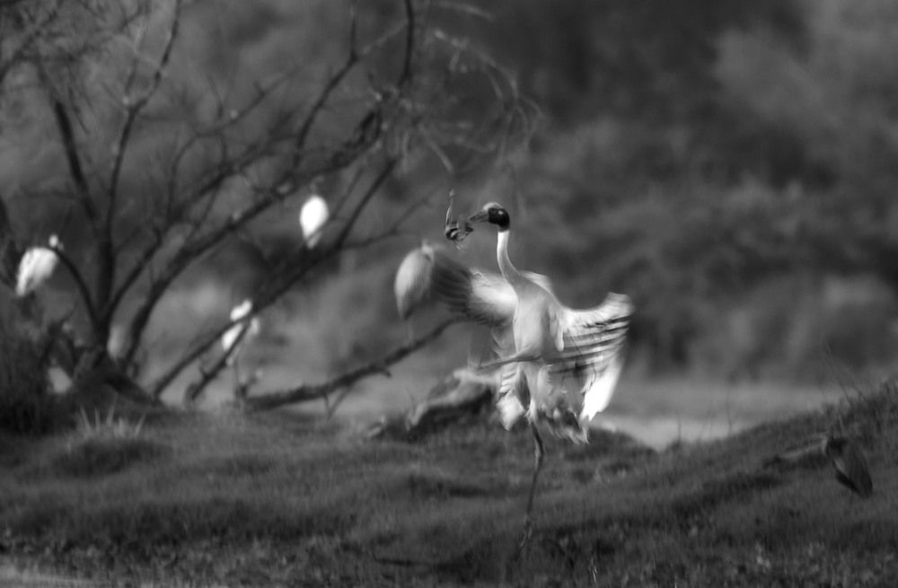 Photo 1075815