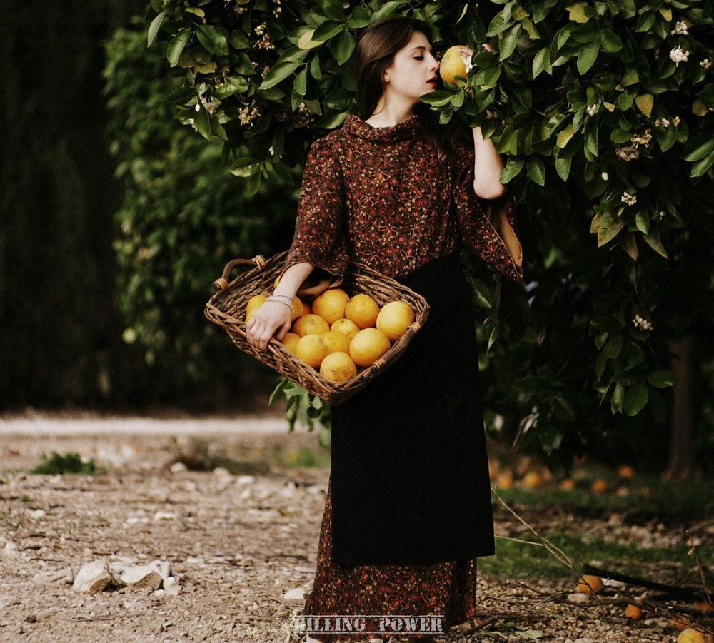 The Orange Summer