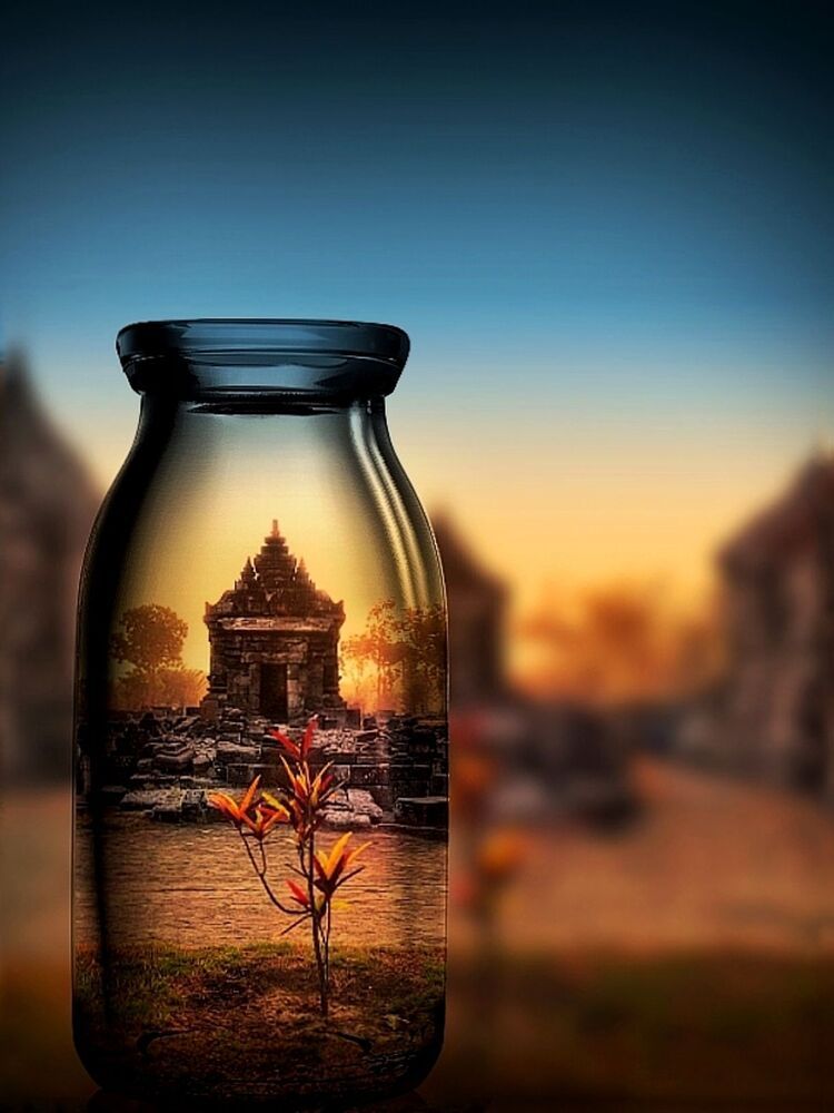 My Album