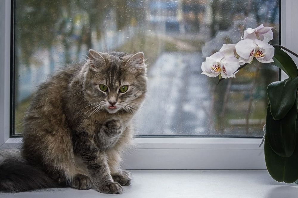 - Фиг вам, а не фотосессия!