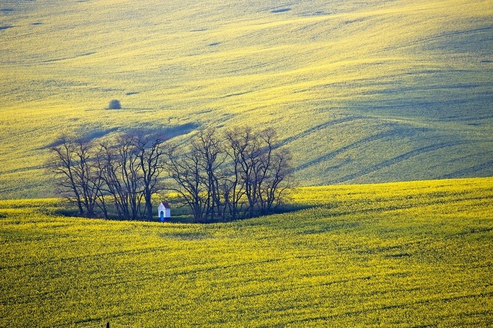 Jižní Morava