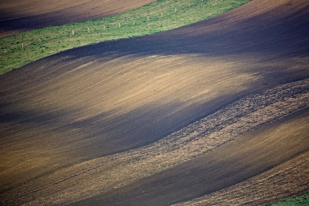 Jižní Morava