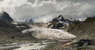 Язык ледника спускается до высоты около 2500 м. На сегодняшний день представляет собой разветвленную систему ледовых потоков, каждый из которых имеет свою область питания.