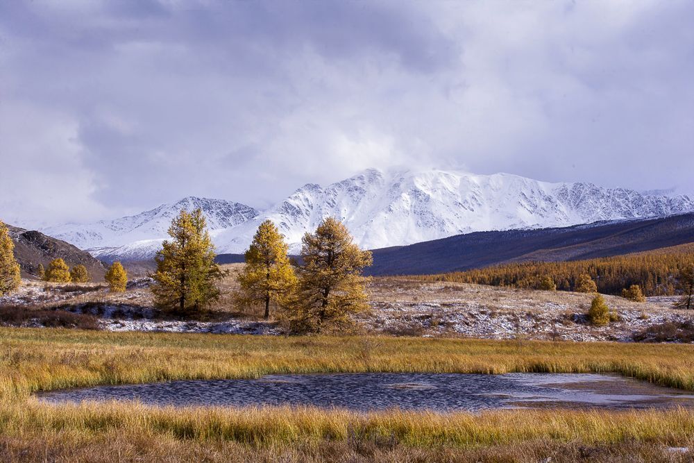 Осенние краски Алтая