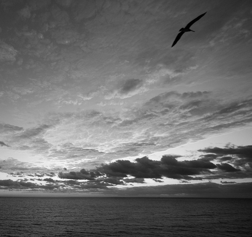 B/W Perspective