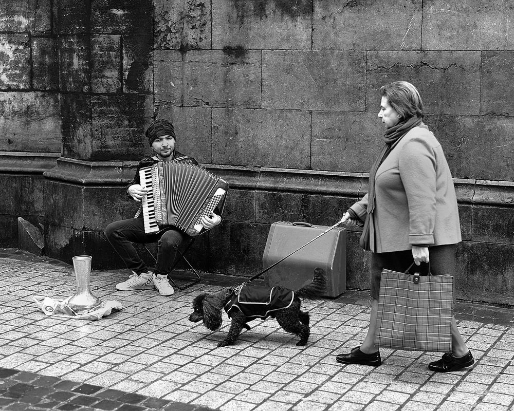 In the streets of Liege(Belgium).