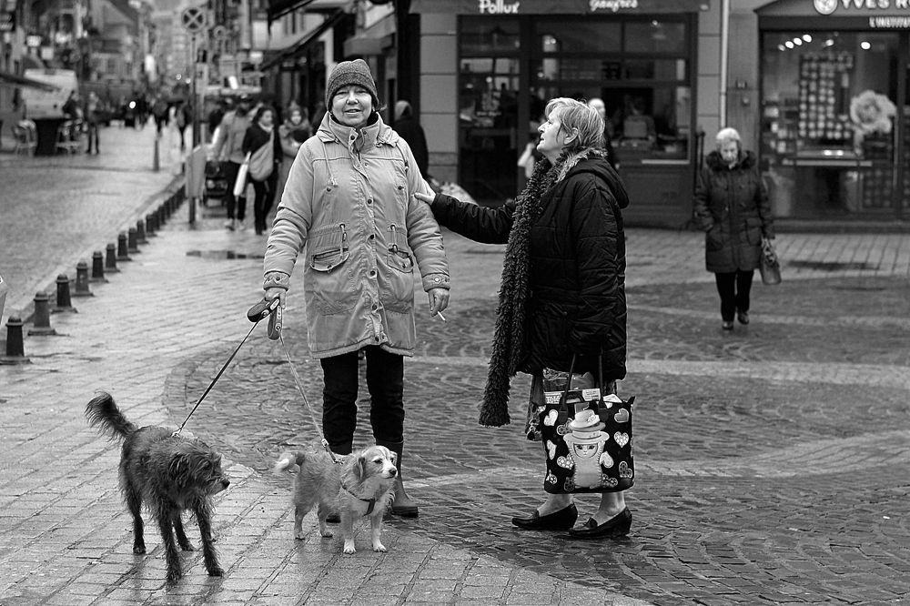 In the streets of Liege(Belgium).