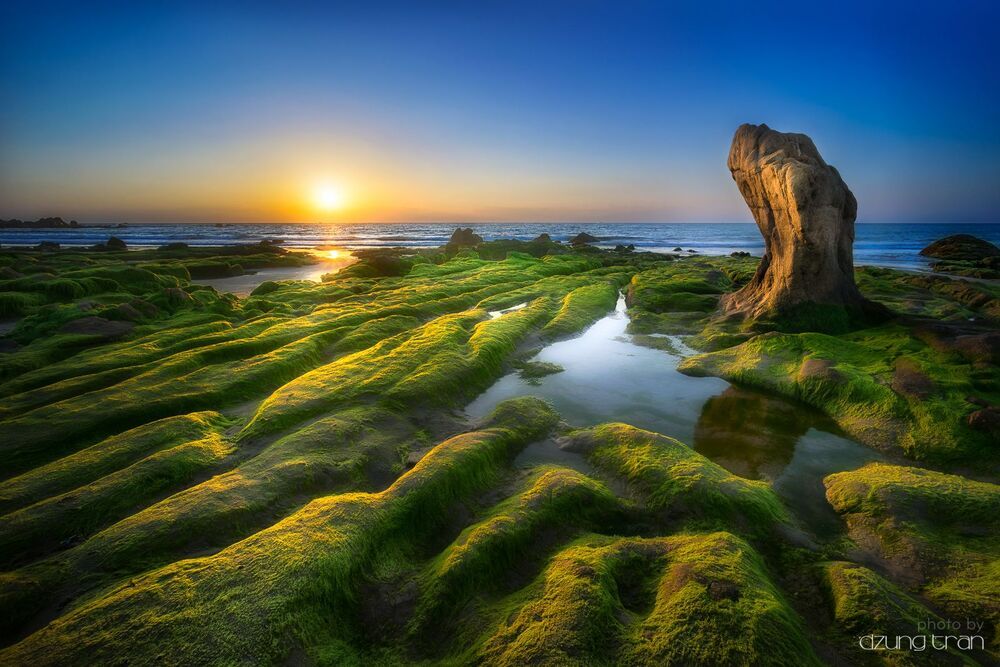 Viet Nam Landscape