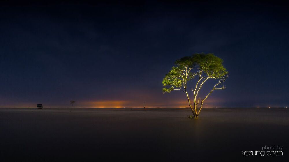 Viet Nam Landscape