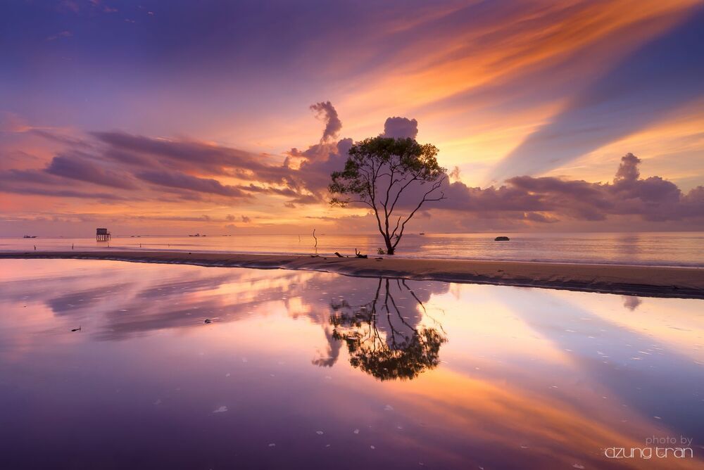 Viet Nam Landscape