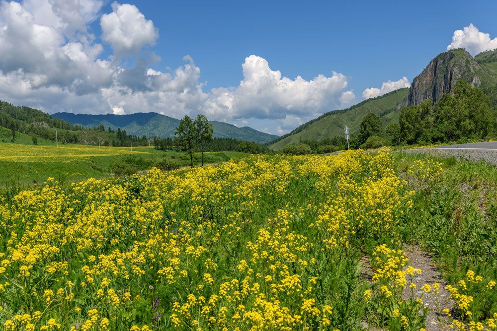 Шаманский камень