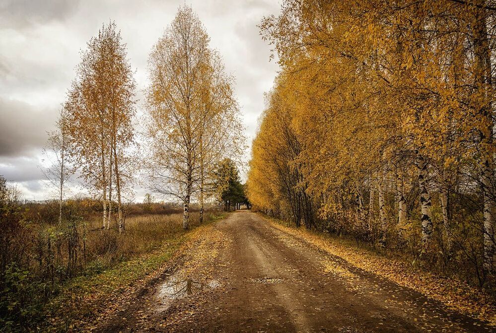 Под занавес заката... Кировская область. Россия. Under the sunset curtain ... Kirov region. Russia.