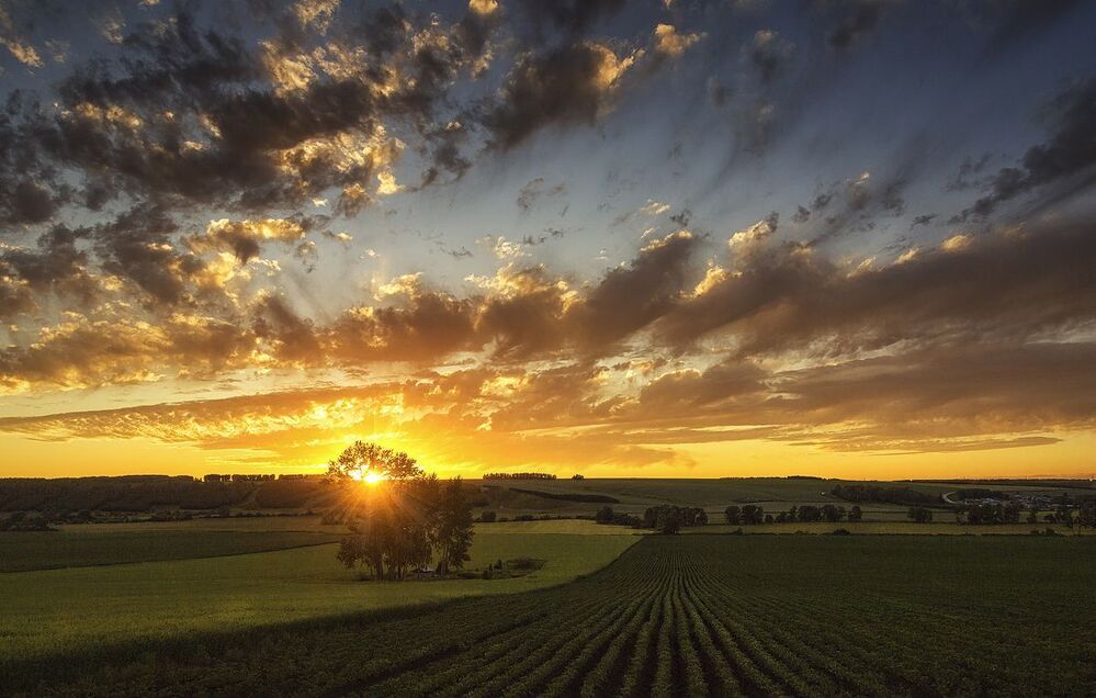 Под занавес заката... Кировская область. Россия. Under the sunset curtain ... Kirov region. Russia.